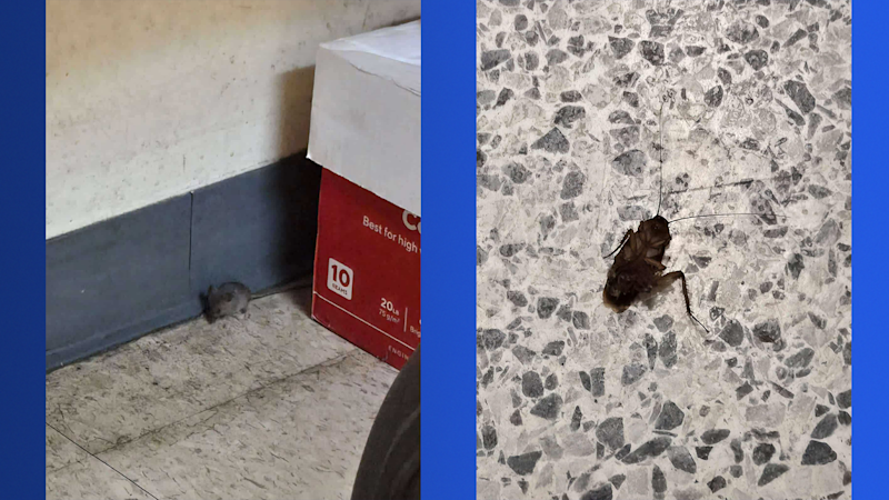 Story image: Workers claim roach and mice infestation at MidHudson Regional Hospital