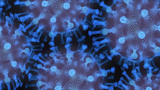 blaise norovirus
