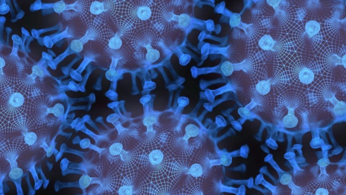blaise norovirus