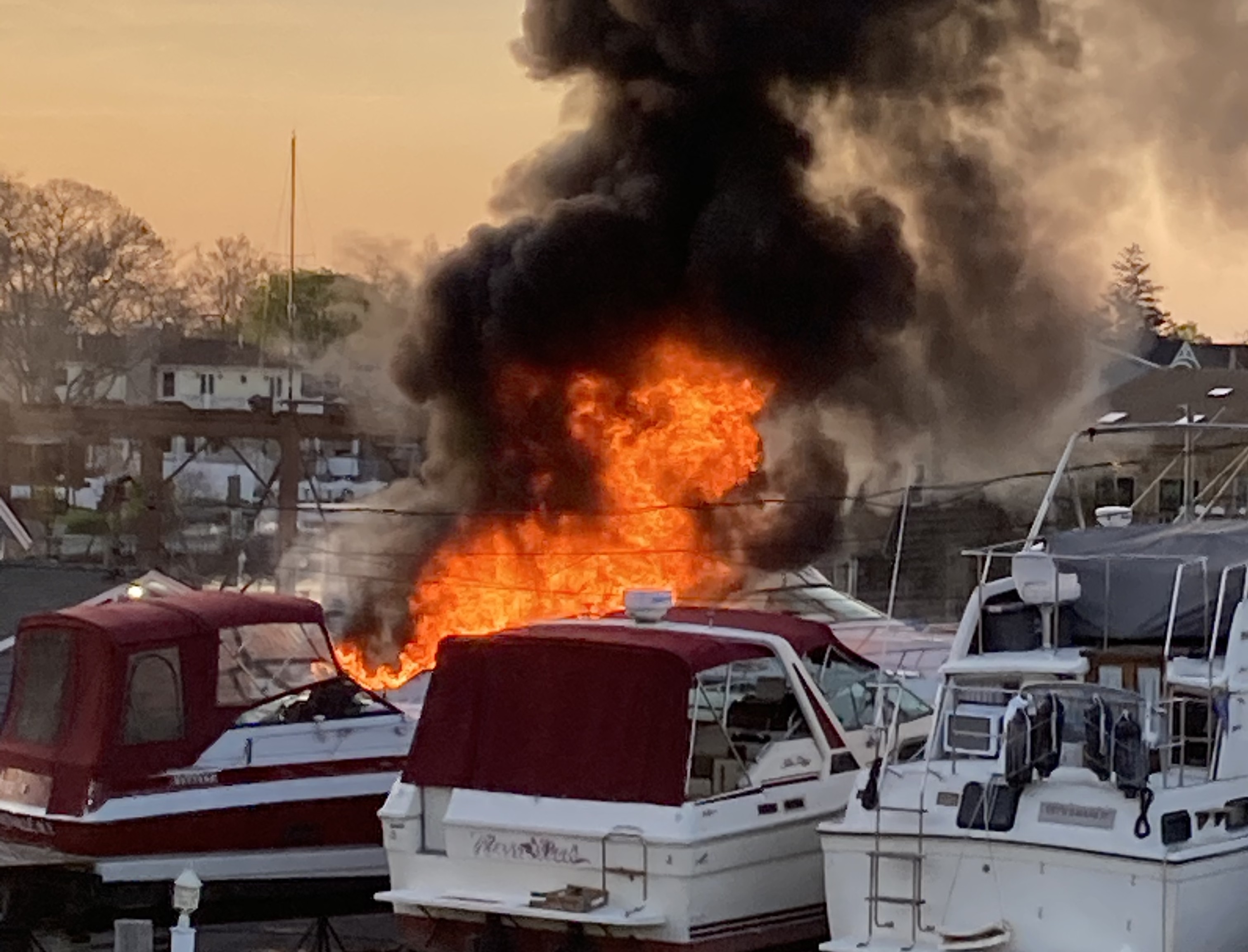 Article 259609 Hero Image