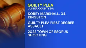 Ulster County DA: Kingston man pleads guilty in 2022 Town of Esopus shooting