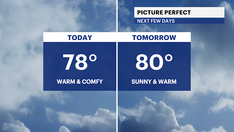 Story image: Sunny, warm and pleasant conditions in The Bronx