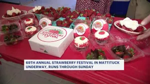69th annual Strawberry Festival in Mattituck underway 