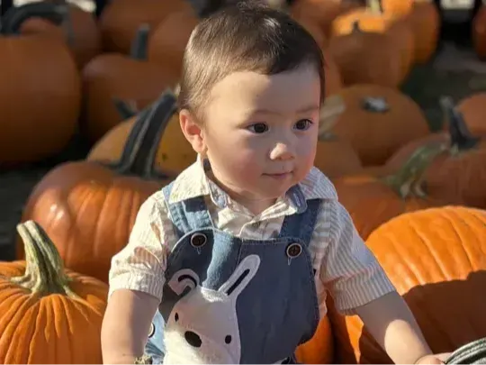 Toddle Gofundme pic