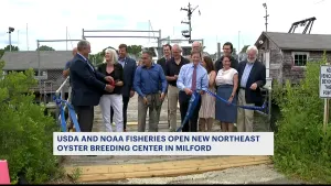 USDA and NOAA Fisheries open new Northeast oyster breeding center in Milford