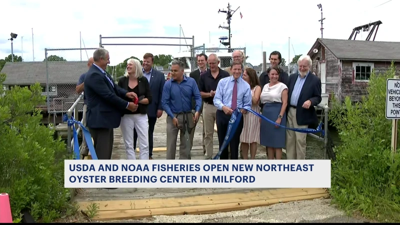 Story image: USDA and NOAA Fisheries open new Northeast oyster breeding center in Milford