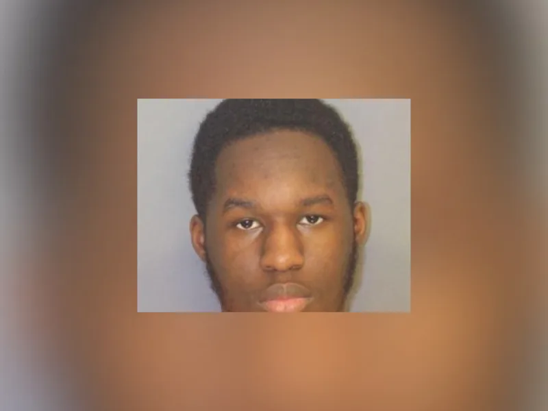 ZNAJAY_NELSON_Blur.png