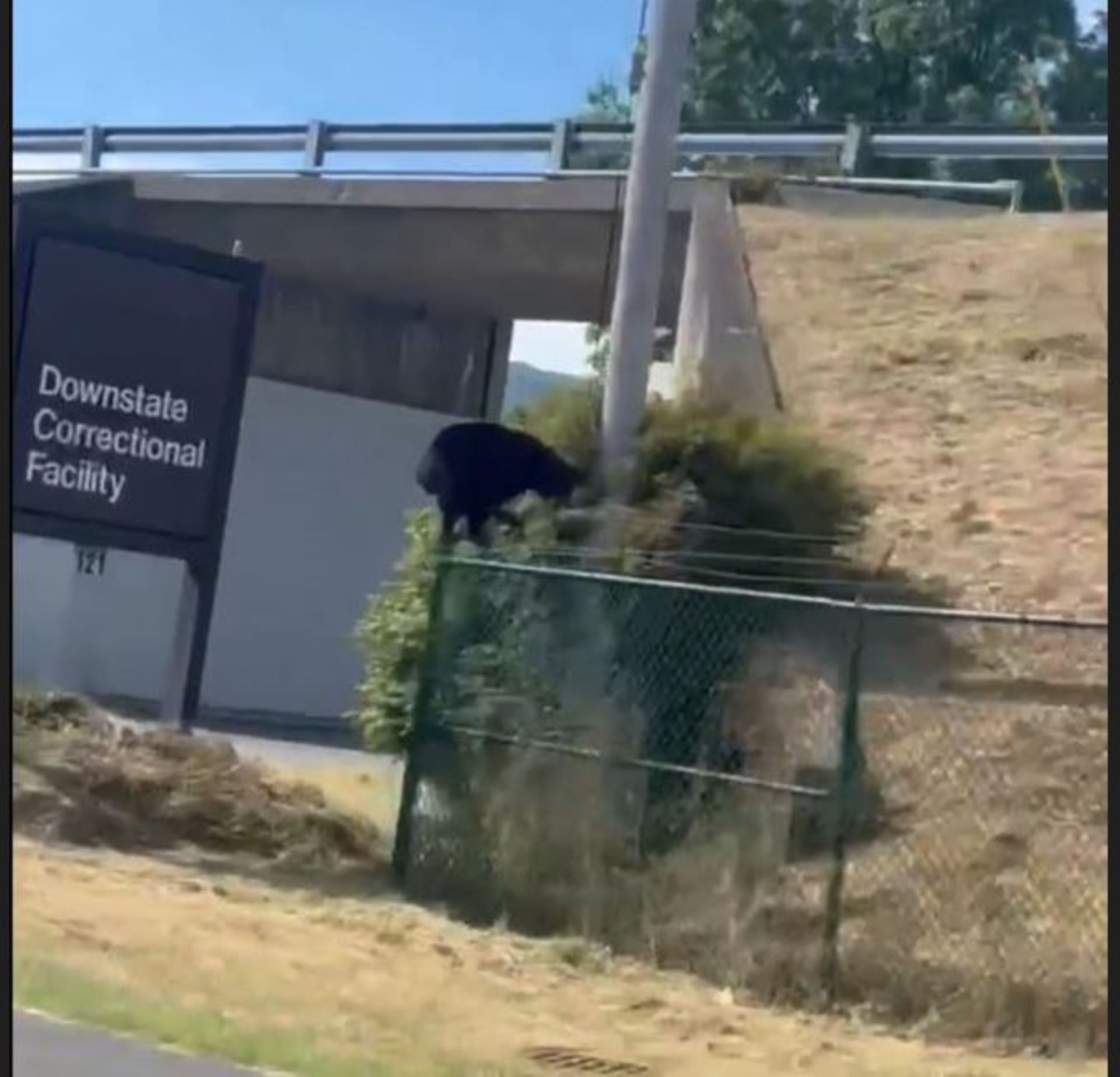 Article 300996 Hero Image