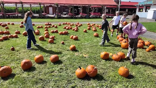 LIPUMPKINAPPLE92826_2026-09-28-06-29-46