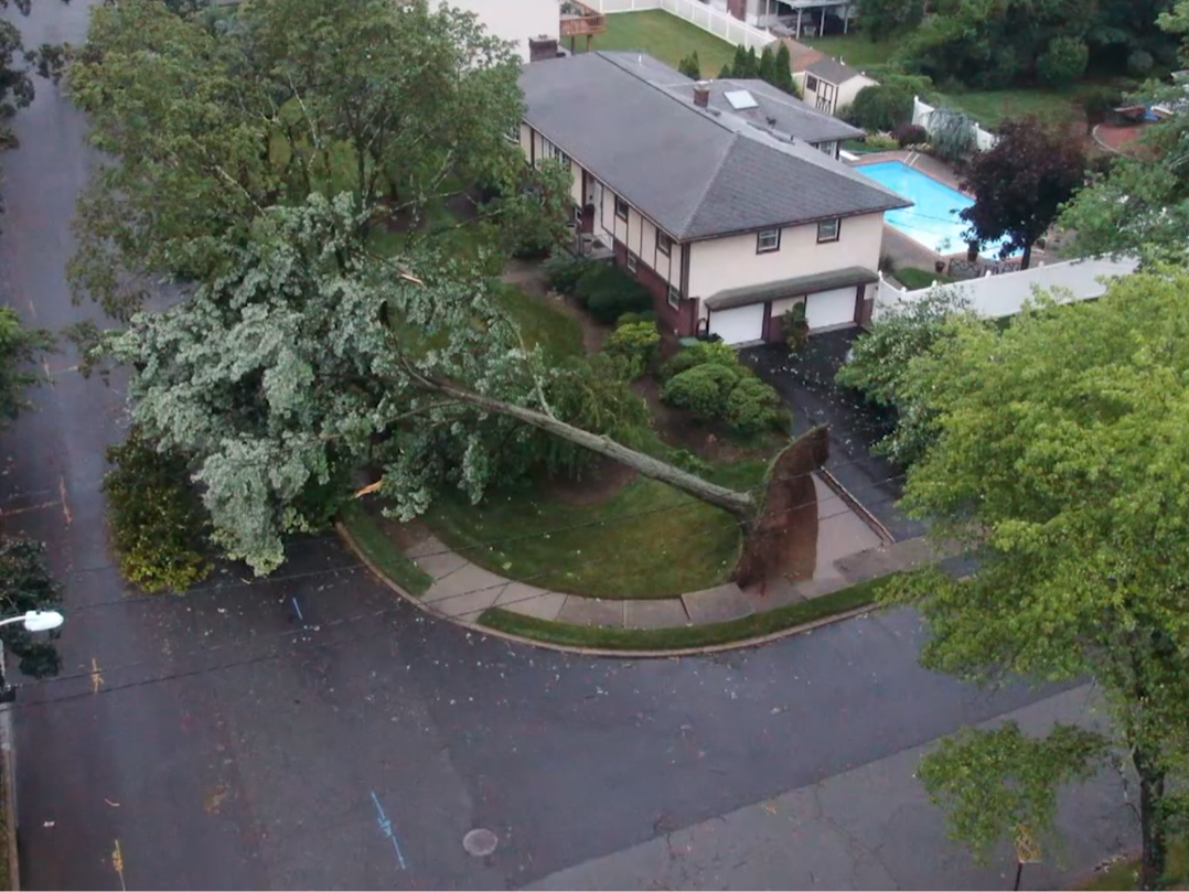 Paramus State of Emergency