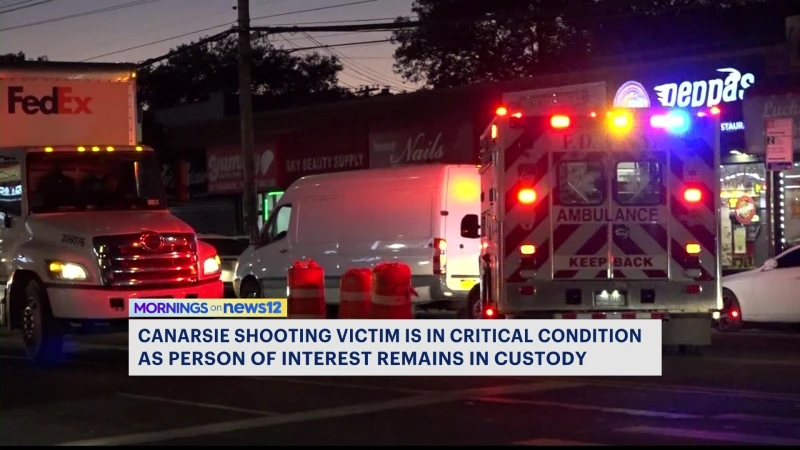 Story image: Canarsie shooting victim in critical condition; person of interest in custody