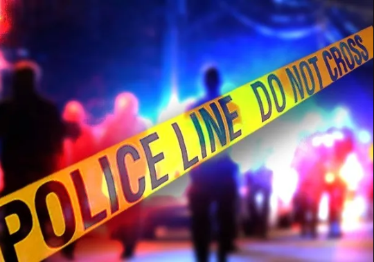 Article 30026 Thumbnail