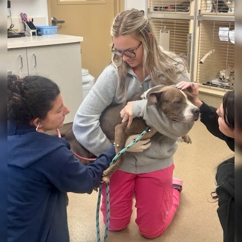 SPCA 6.jpg