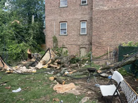 Officials: East Orange man at family cookout killed by fallen tree during powerful storms in New Jersey