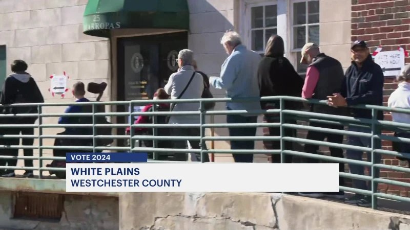 Story image: Early voting gets underway in Westchester and across New York