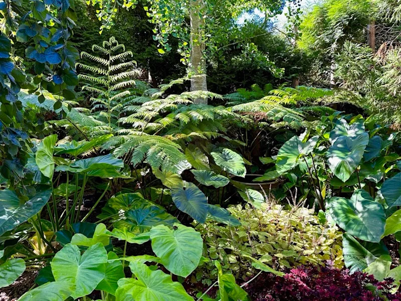 Image (1).jpg