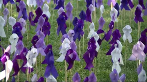 Purple ribbons fill Joyce Kilmer Park to raise awareness about ongoing opioid crisis