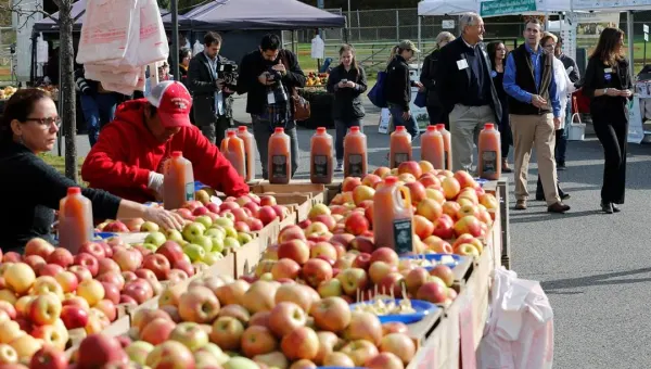 Guide: Farmers Markets around the Hudson Valley