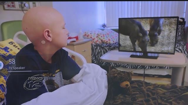 Article 139853 Thumbnail