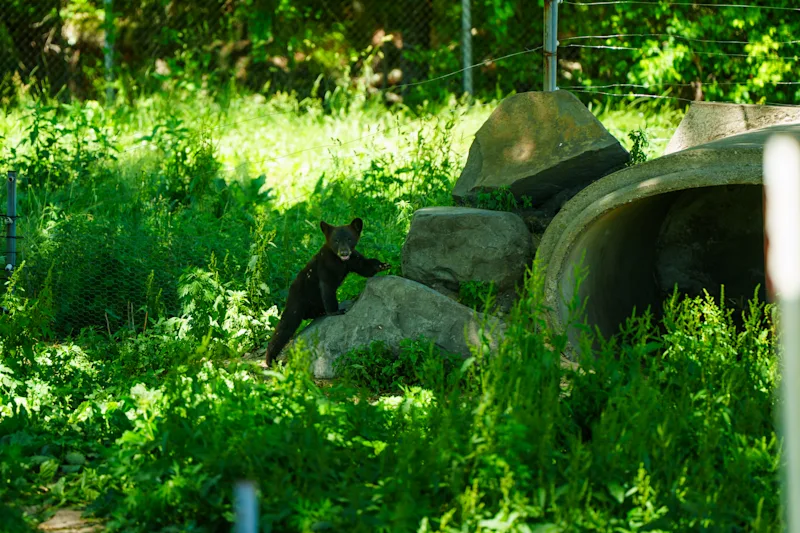 DSC05912.jpeg