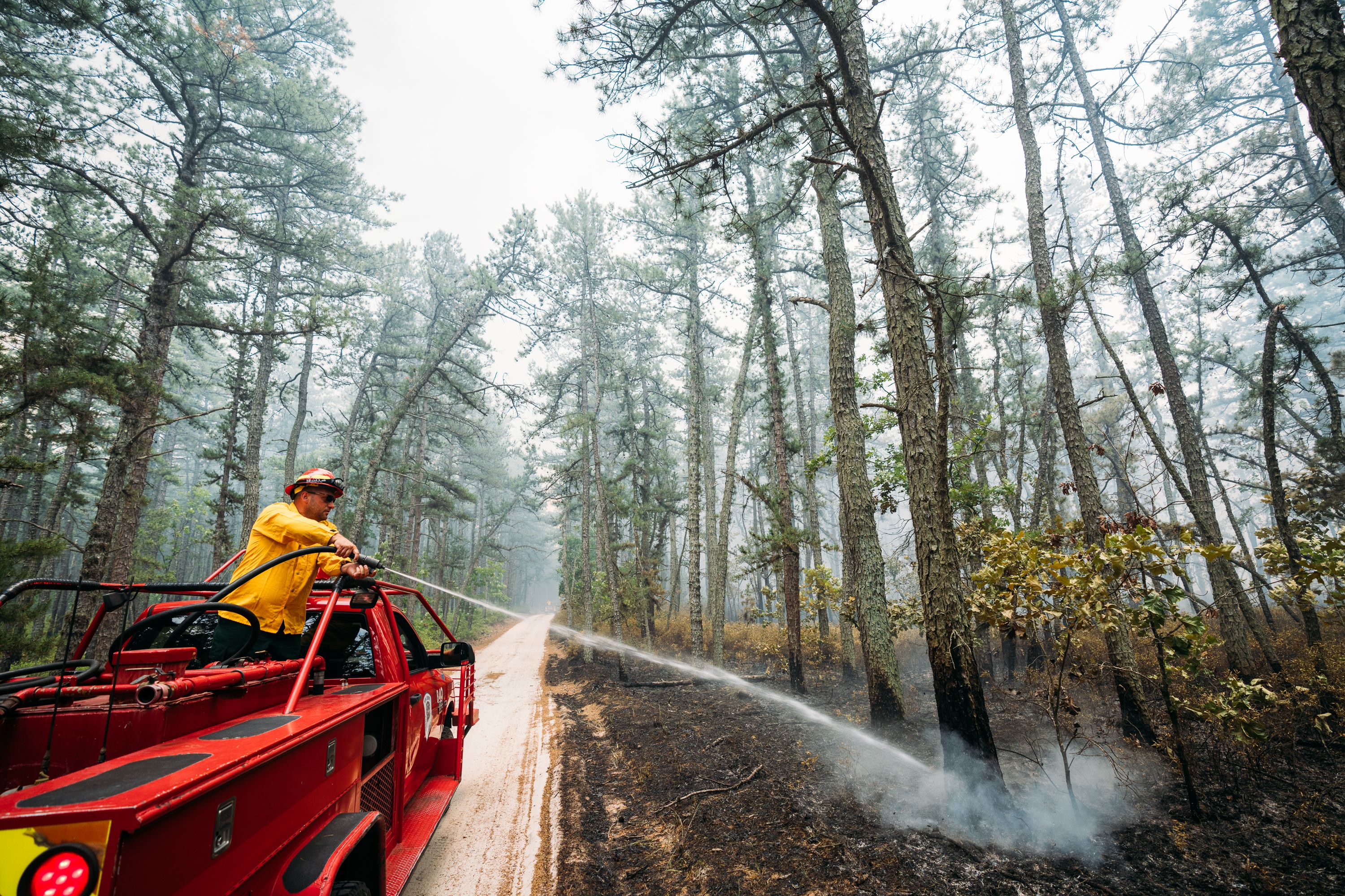 NJForestFireTeaTimeHill001.jpg