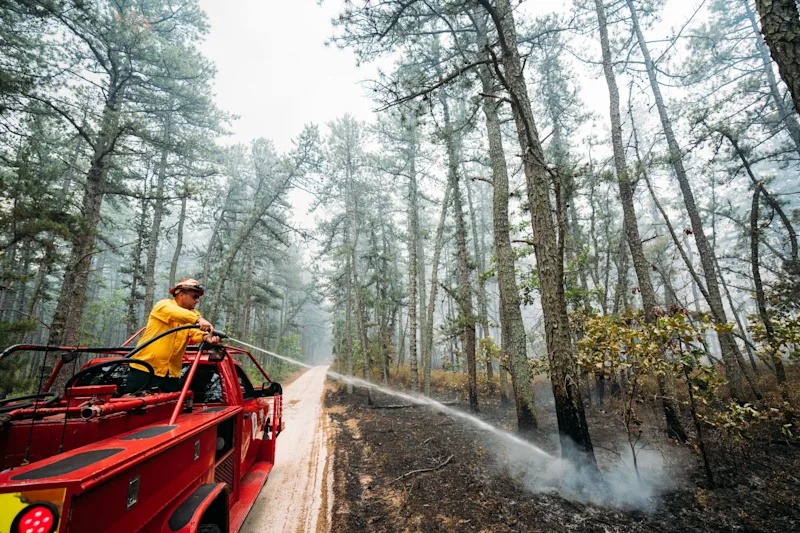 NJForestFireTeaTimeHill001.jpg