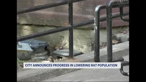 Mayor weighs in on war against rats across NYC 