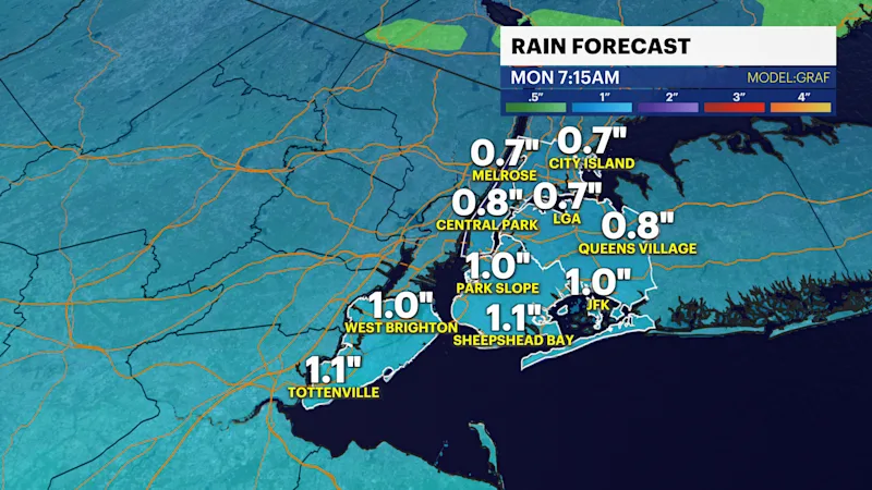 ALEX 2.png