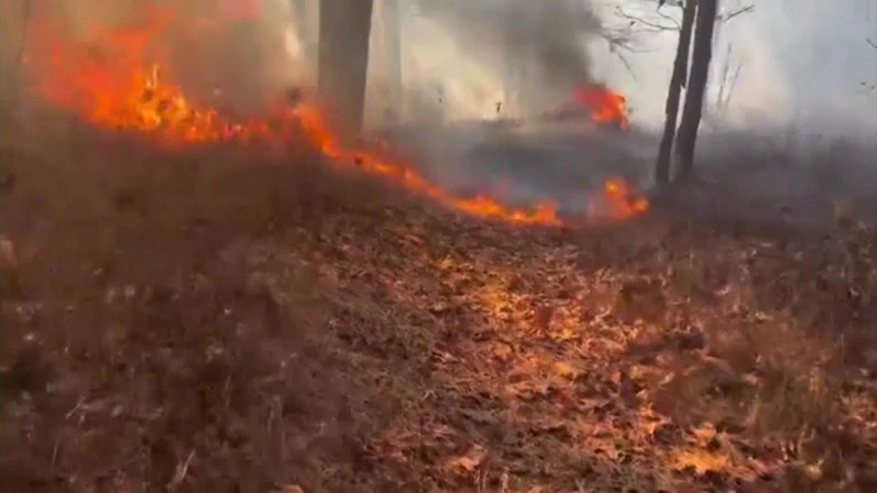 Story image: Suffolk County police: Volunteer firefighter intentionally set a brushfire in Medford