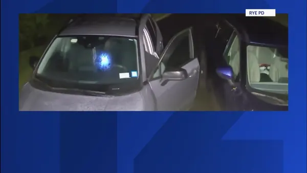 Headlines: Deadly shooting in Monticello, stolen car crash, Rye car break-ins