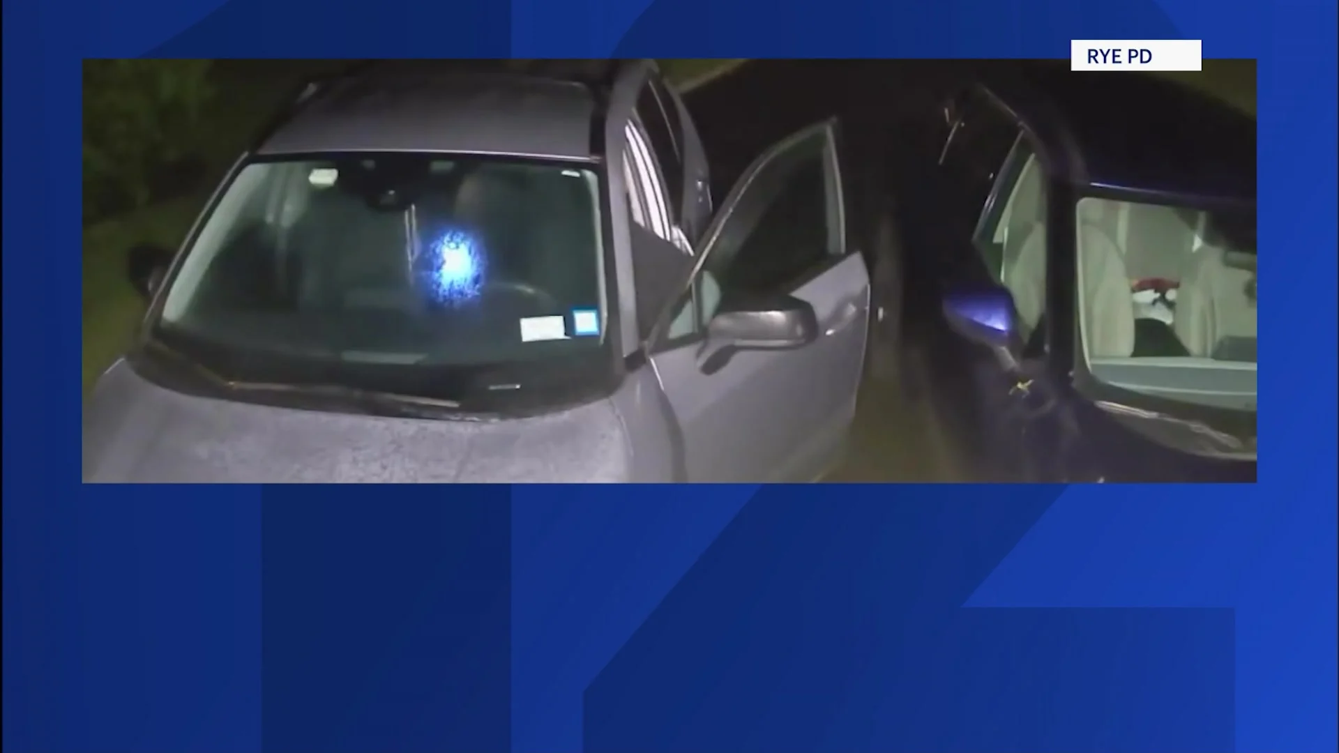 Headlines: Deadly shooting in Monticello, stolen car crash, Rye car break-ins - Vimarsana News