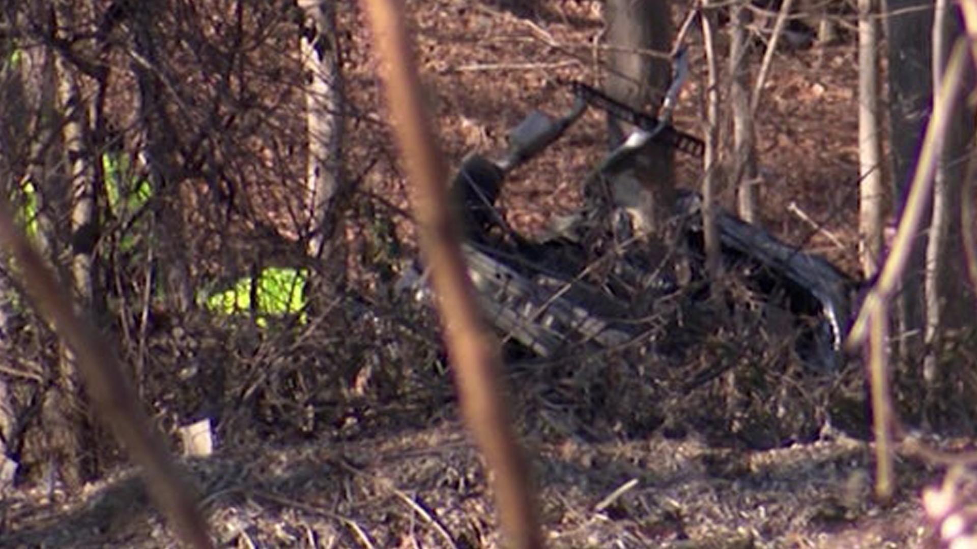 Article 283575 Hero Image