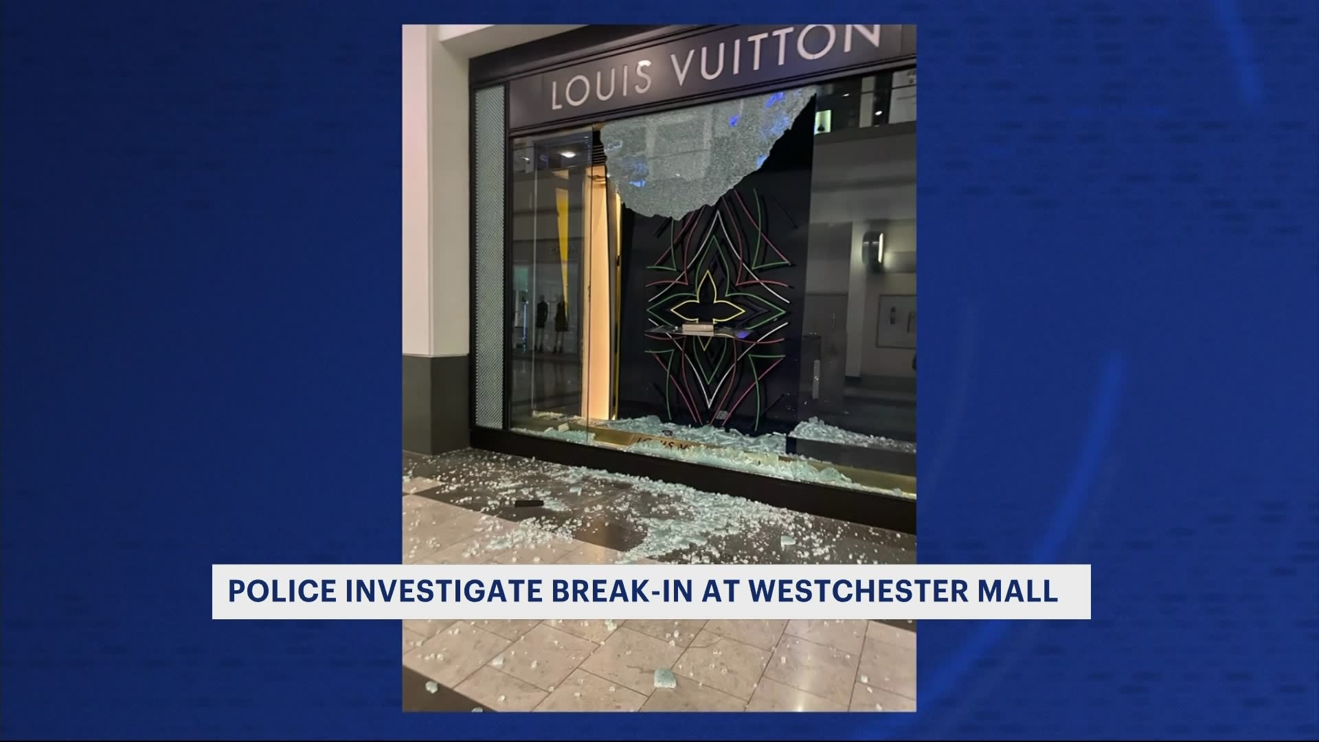 Louis Vuitton White Plains Westchester store, United States