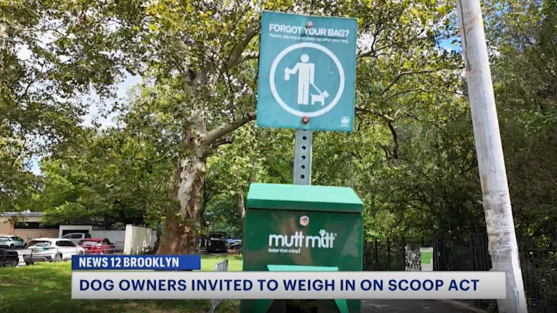 Story image: Brooklyn dog owners asked to weigh in on Scoop Act