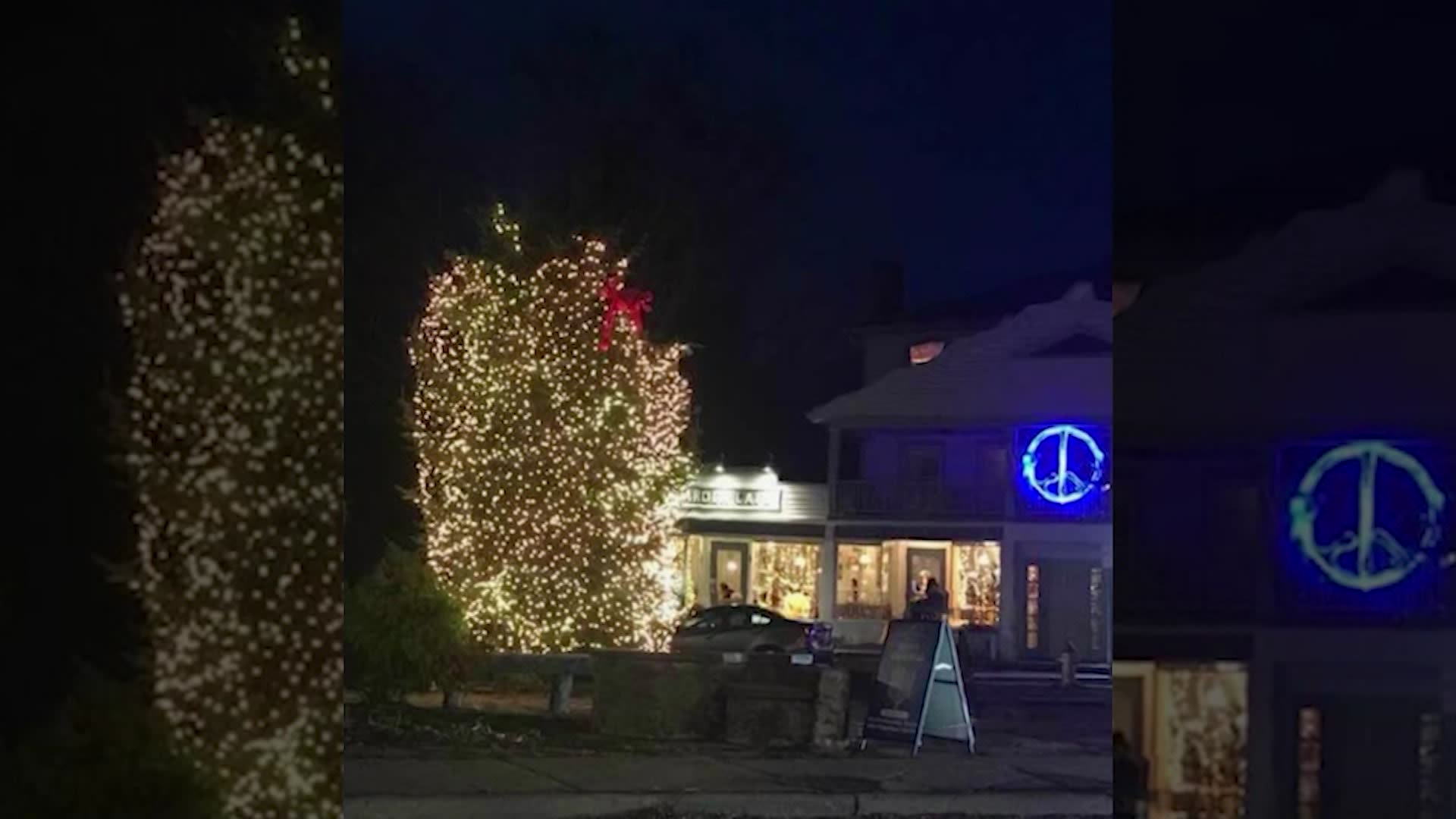 'Hideous' Christmas tree gone viral in Woodstock to be replaced Wednesday