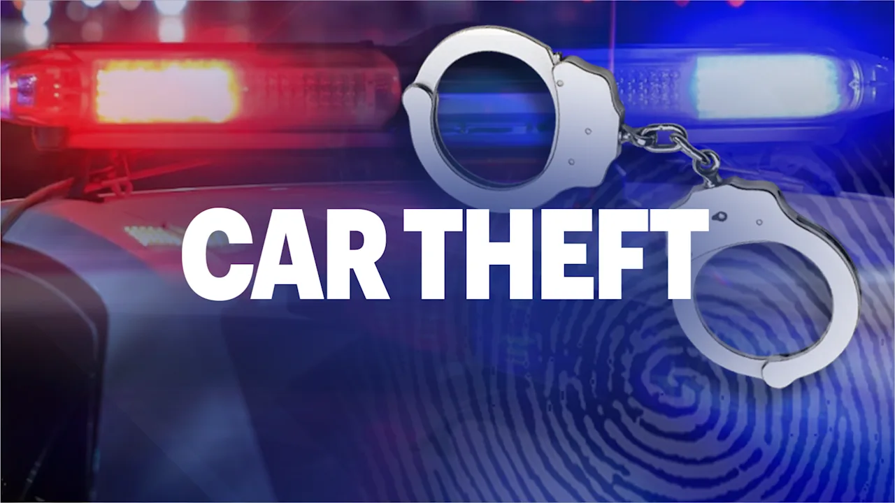 car theft