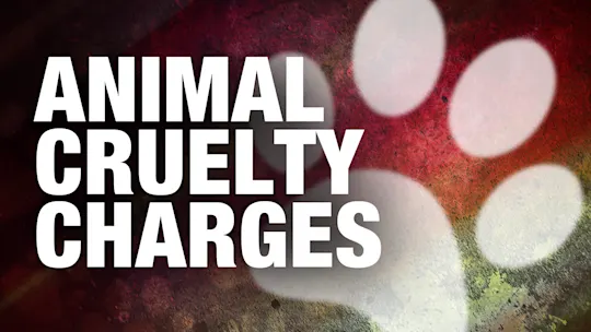 Animal Cruelty Charges Generic