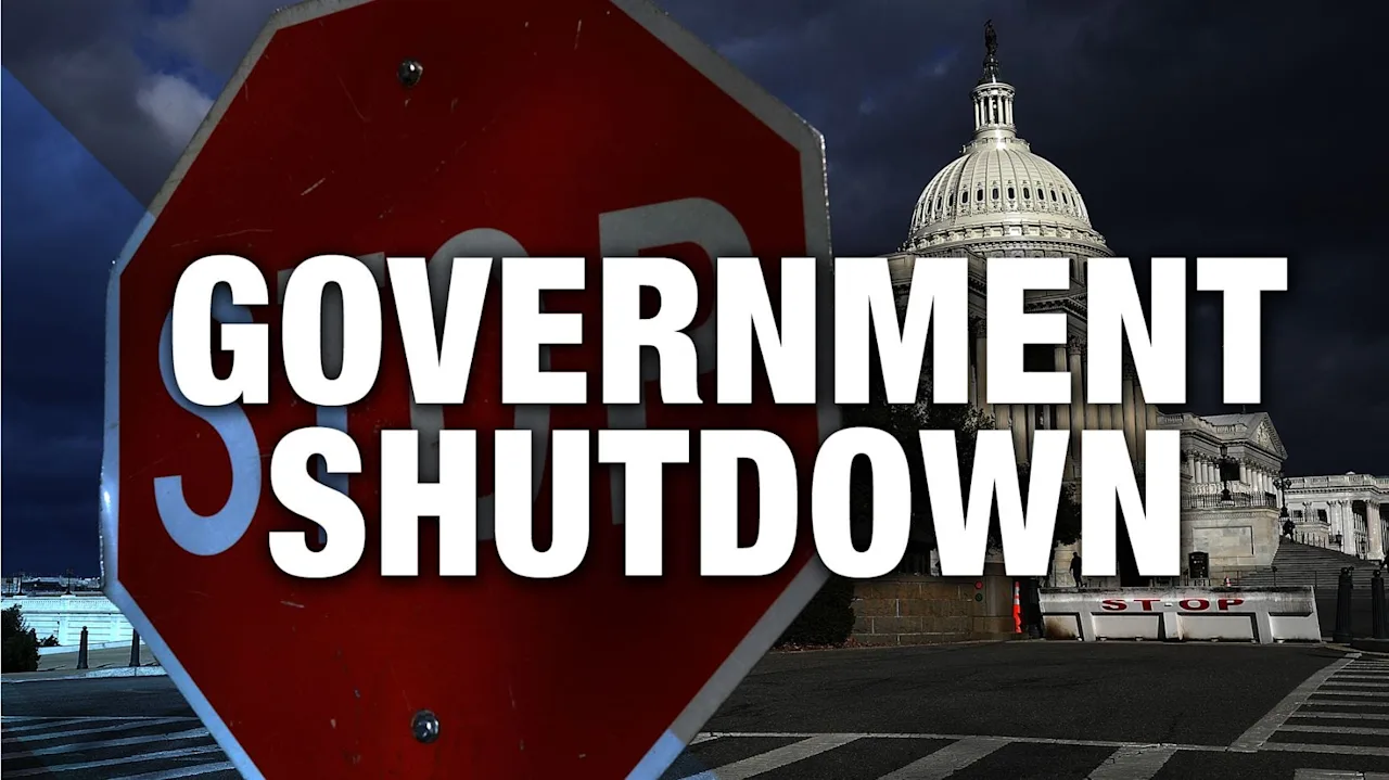 Article 47532 Thumbnail