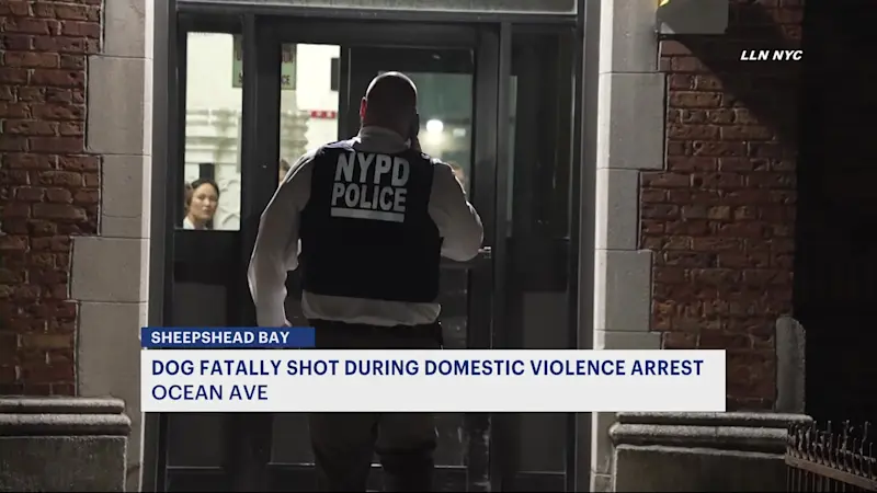 Story image: NYPD: Dog fatally shot during domestic violence arrest in Sheepshead Bay