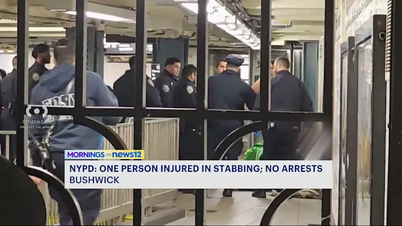 Story image: NYPD: Man stabbed on subway in Bushwick 