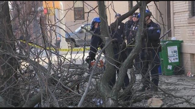 Article 50433 Thumbnail