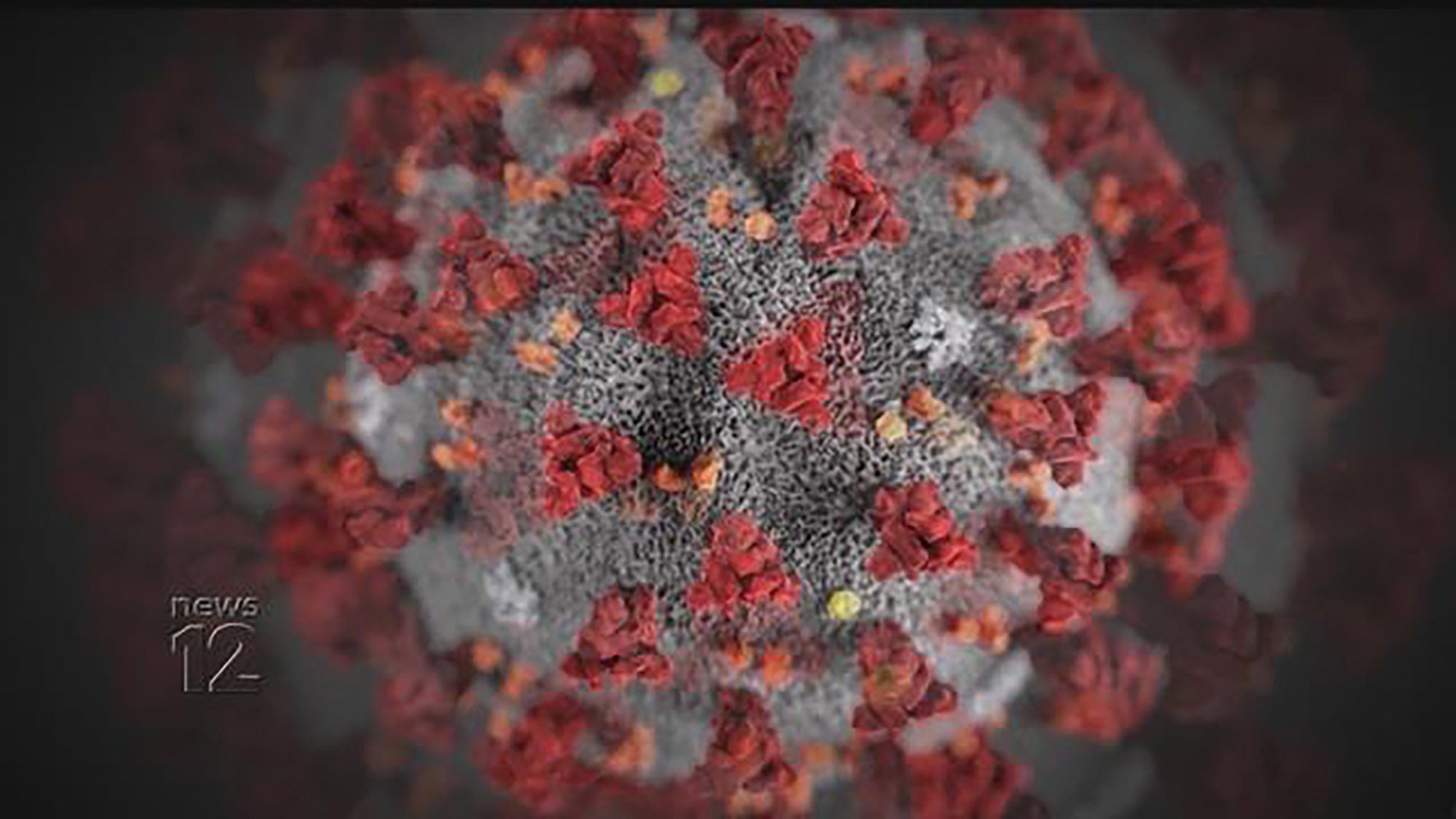 Article 254152 Hero Image