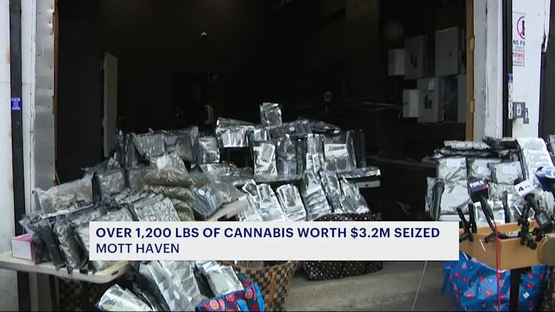 Story image: $3.2M worth of cannabis products seized in Mott Haven bust