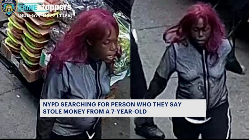 Story image: NYPD: Thief steals cash from child, punches mother in the face in Mount Eden