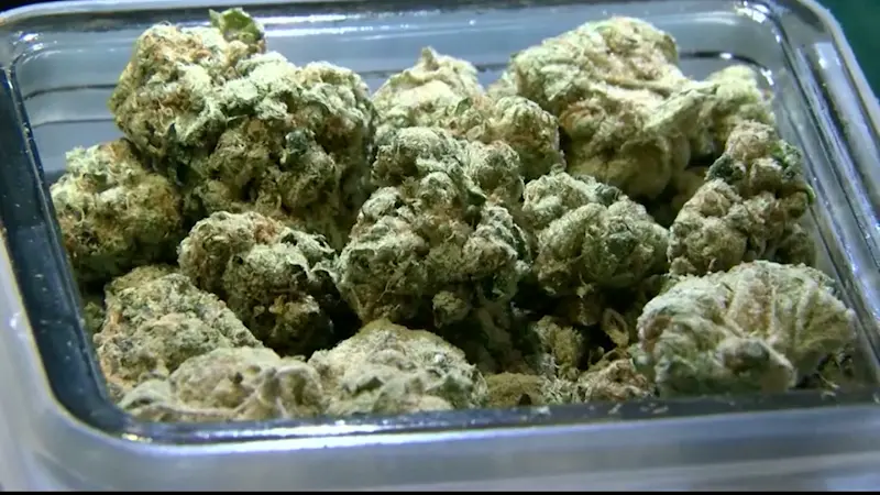 Story image: NY's Office of Cannabis Management recalls multiple marijuana products