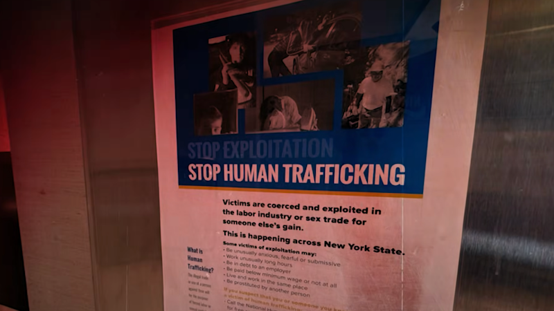 Story image: NY officials vow action on enforcement gap exposed in Turn To Tara trafficking probe
