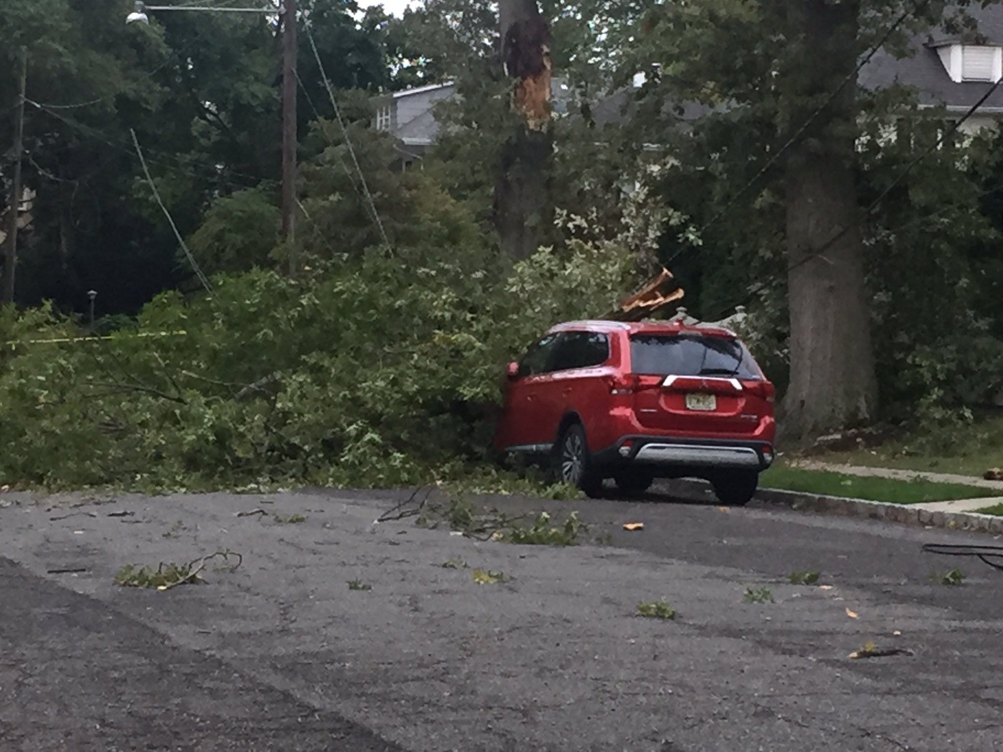 Article 39837 Thumbnail