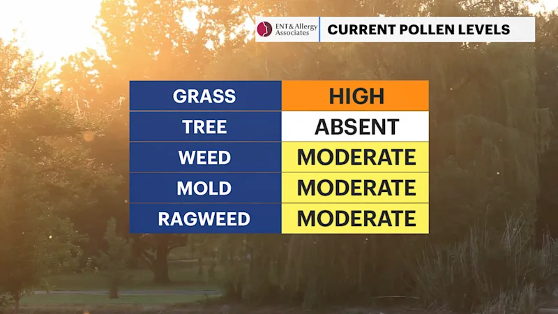 HVAG C_Pollen 3.png