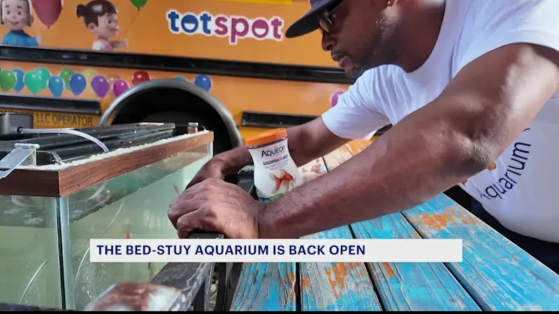 Story image: Bed-Stuy Aquarium back open - and the man behind it has big plans