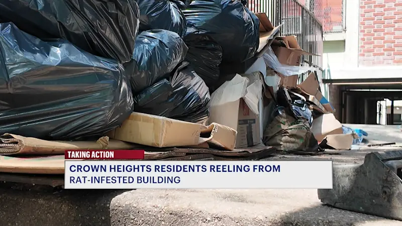 Story image: Crown Heights residents reeling over rat and roach infestation in apartment building